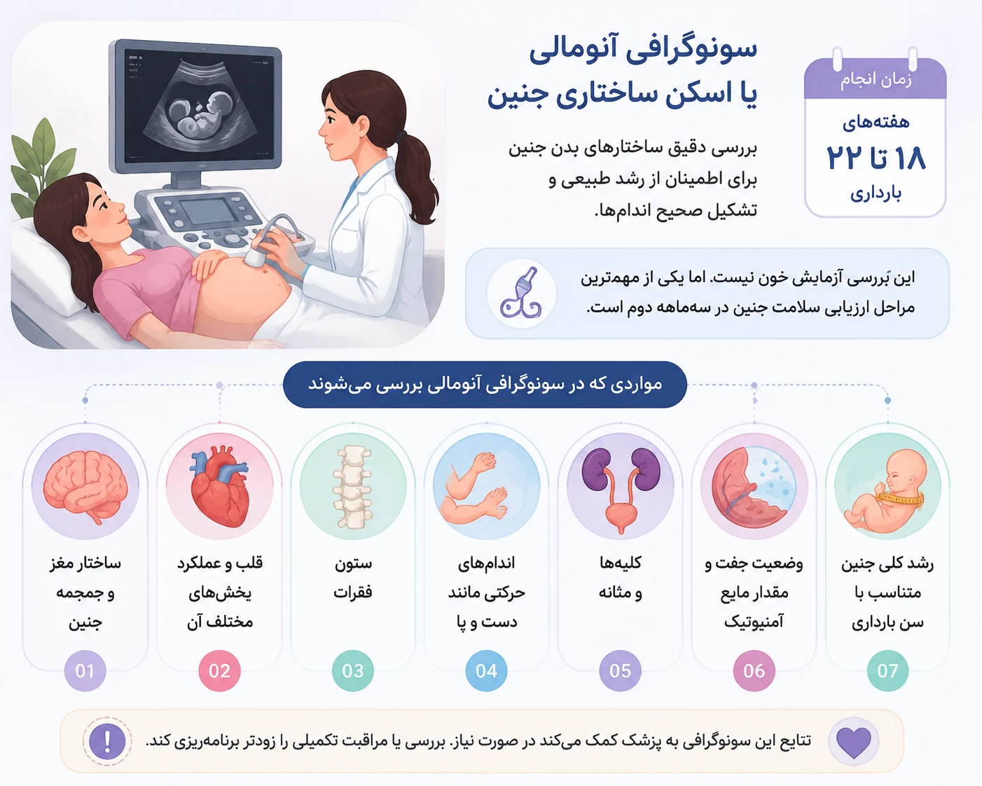 سونوگرافی آنومالی یا اسکن ساختاری جنین